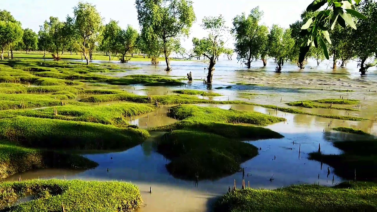 Guliakhali Sea Beach