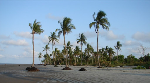 Kuakata sea beach