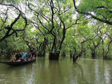 Ratargul Swamp Forest Is Famous For Tourist Place 2020