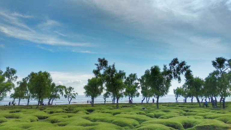 Guliakhali Sea Beach