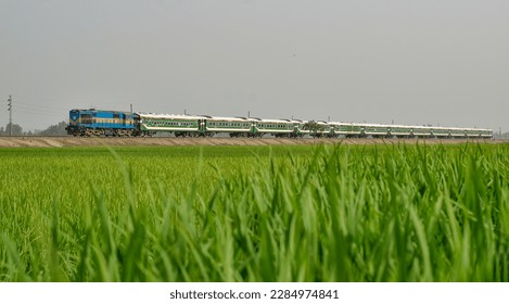 Nilsagor Express