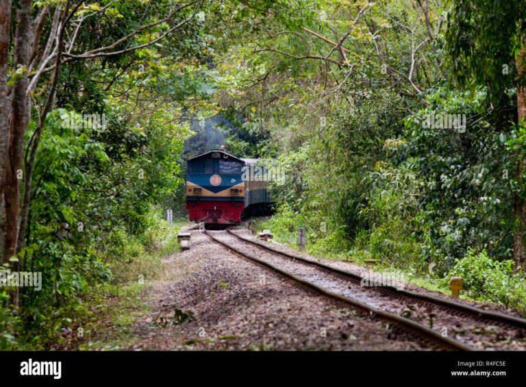 Sylhet to Sreemangal Train  : A Scenic Rail Journey