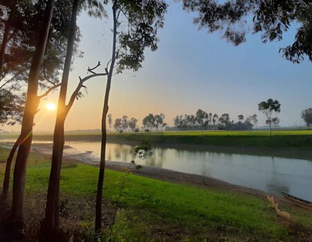 Mirzapur-Tangail
