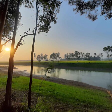 Mirzapur-Tangail