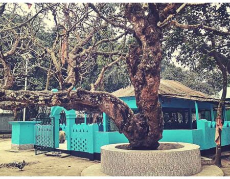 sher-ali-gaji-majar-sherpur
