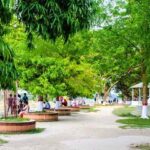 shilpacharya-zainul-abedin-park-mymensingh