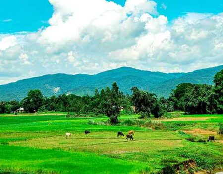 Pachgaon-Netrokona