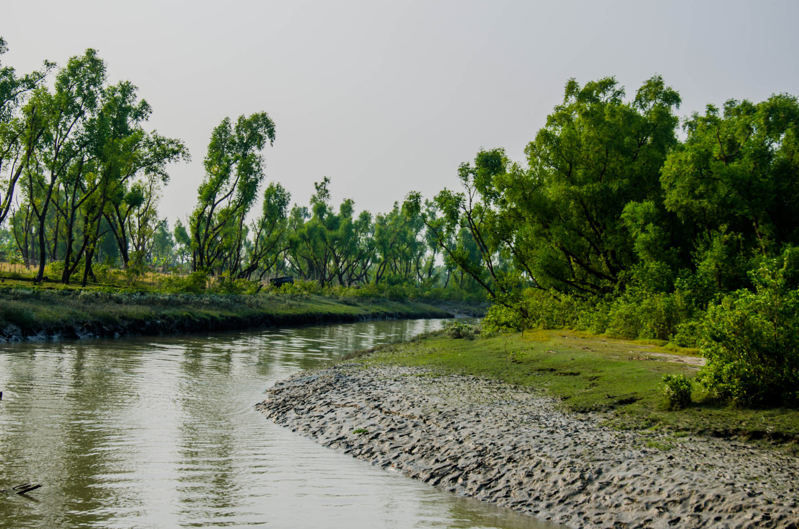 নোয়াখালীর সেরা হোটেল: 7টি থাকার ঠিকানা, ভাড়া ও বুকিং গাইড 5 নিজুম দ্বীপের সৈকত ও প্রাকৃতিক পরিবেশ