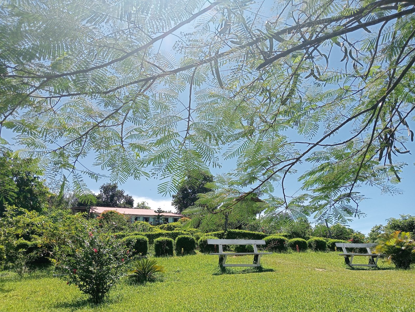 সাজেক ভ্যালির স্বপ্নারি রিসোর্ট এলাকার দৃশ্য