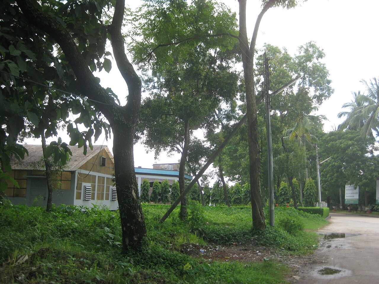 ময়মনসিংহ ভ্রমণ গাইড: শীর্ষ দর্শনীয় স্থান 2 বাংলাদেশ কৃষি বিশ্ববিদ্যালয়, ময়মনসিংহ
