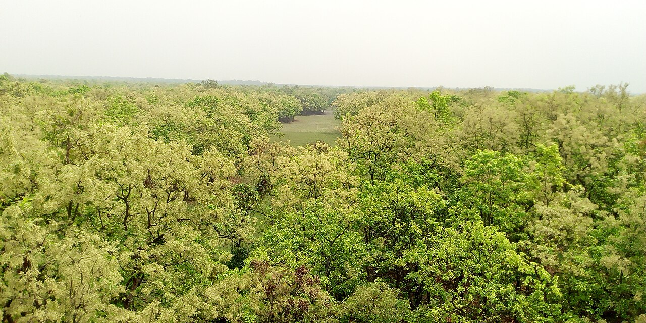 ভাওয়াল জাতীয় উদ্যান: সবুজের রাজ্য 1 ভাওয়াল জাতীয় উদ্যান