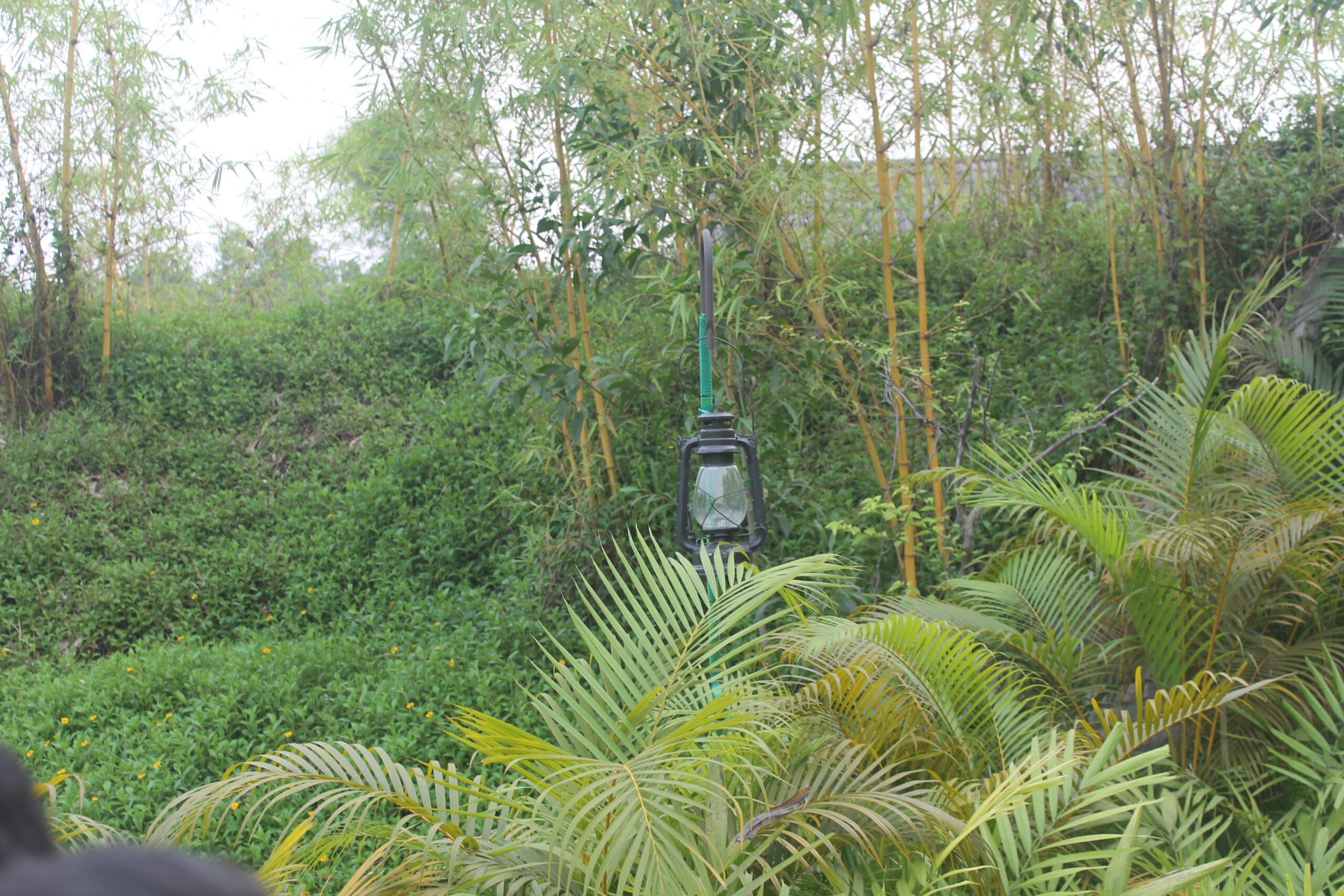 ভাওয়াল রিসোর্ট