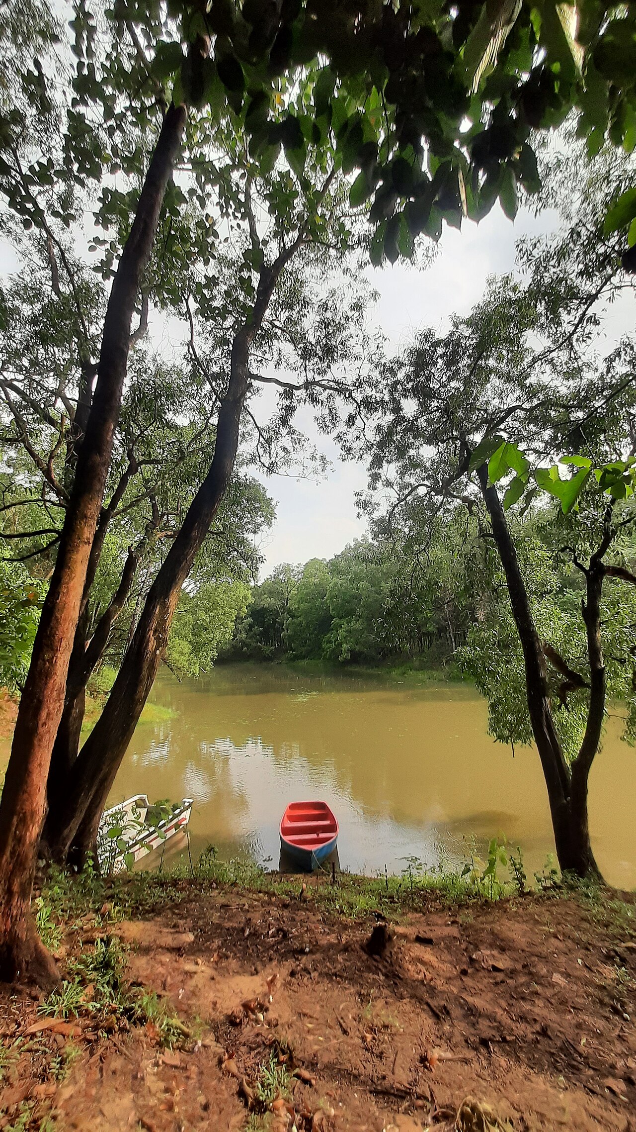 কাপলদের জন্য গাজীপুরের রিসোর্ট: সেরা 7টি রোমান্টিক ঠিকানার সম্পূর্ণ গাইড 4 ভাওয়াল জাতীয় উদ্যানের লেকে নৌকাভ্রমণ