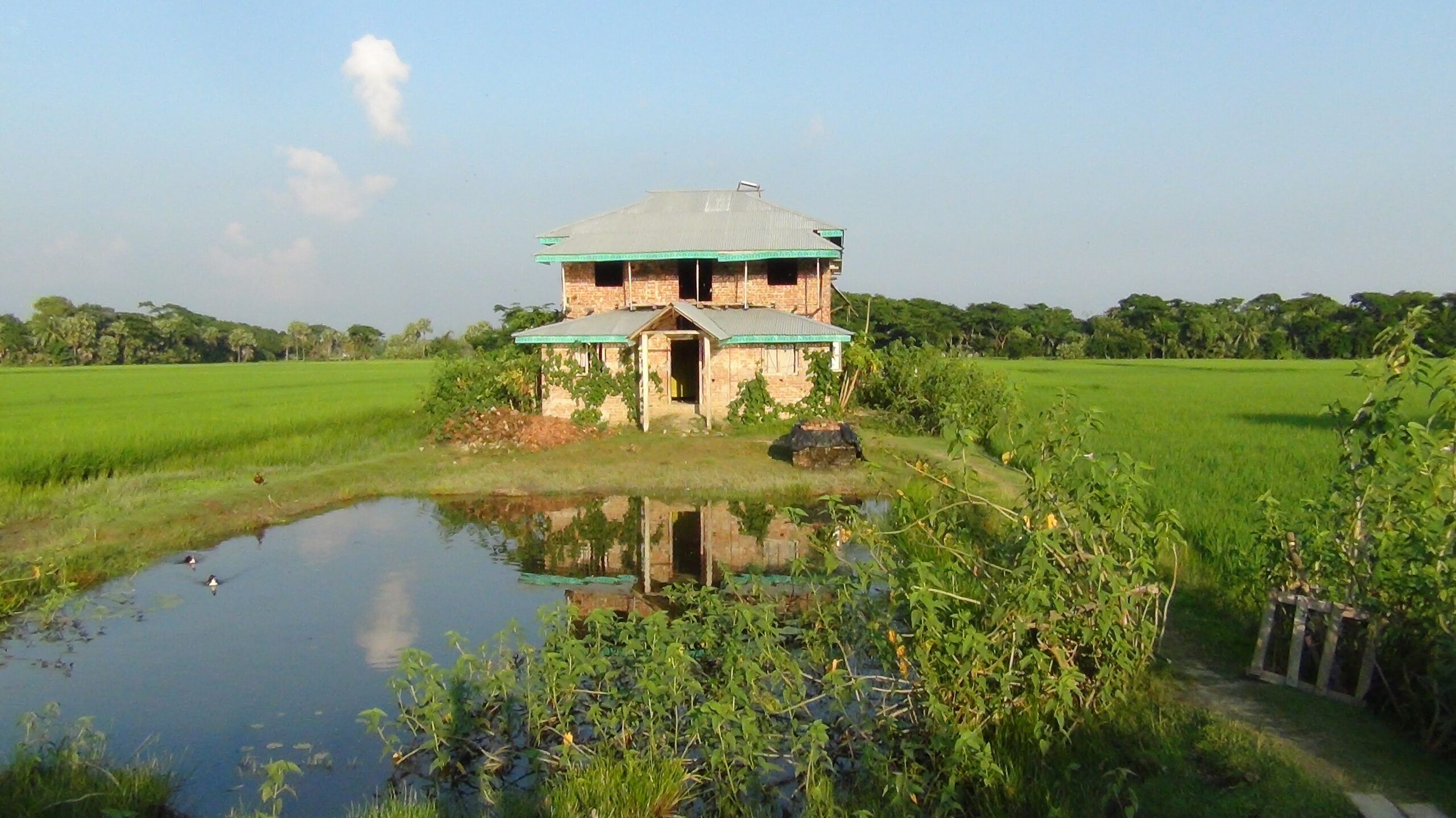 সোনারচর পটুয়াখালী: বন্যপ্রাণী অভয়ারণ্য, সৈকত ও ভ্রমণের সম্পূর্ণ গাইড 5 সোনারচর এলাকার গ্রামীণ জনবসতি