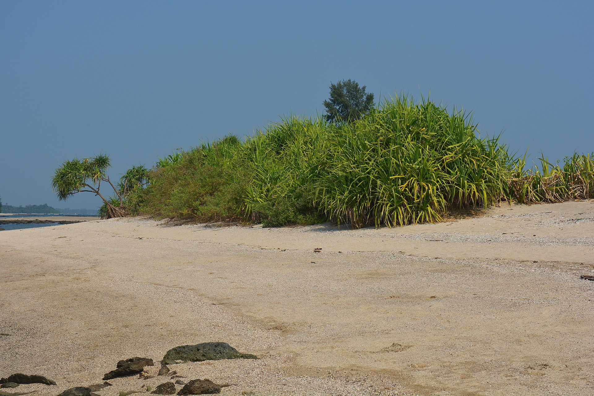 ছেঁড়া দ্বীপের সৈকত ও প্রবাল পাথর