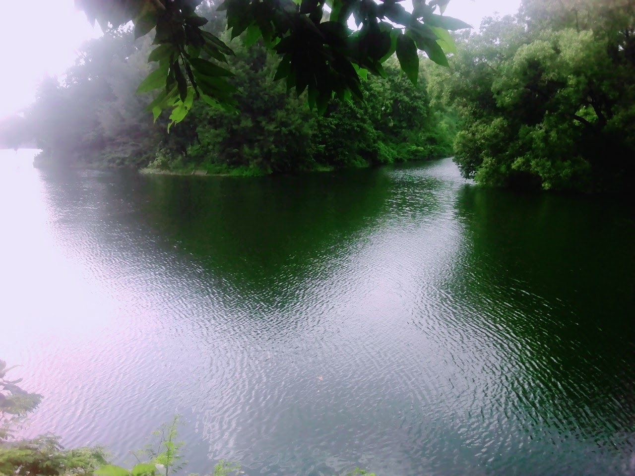 ফয়'স লেক, চট্টগ্রাম