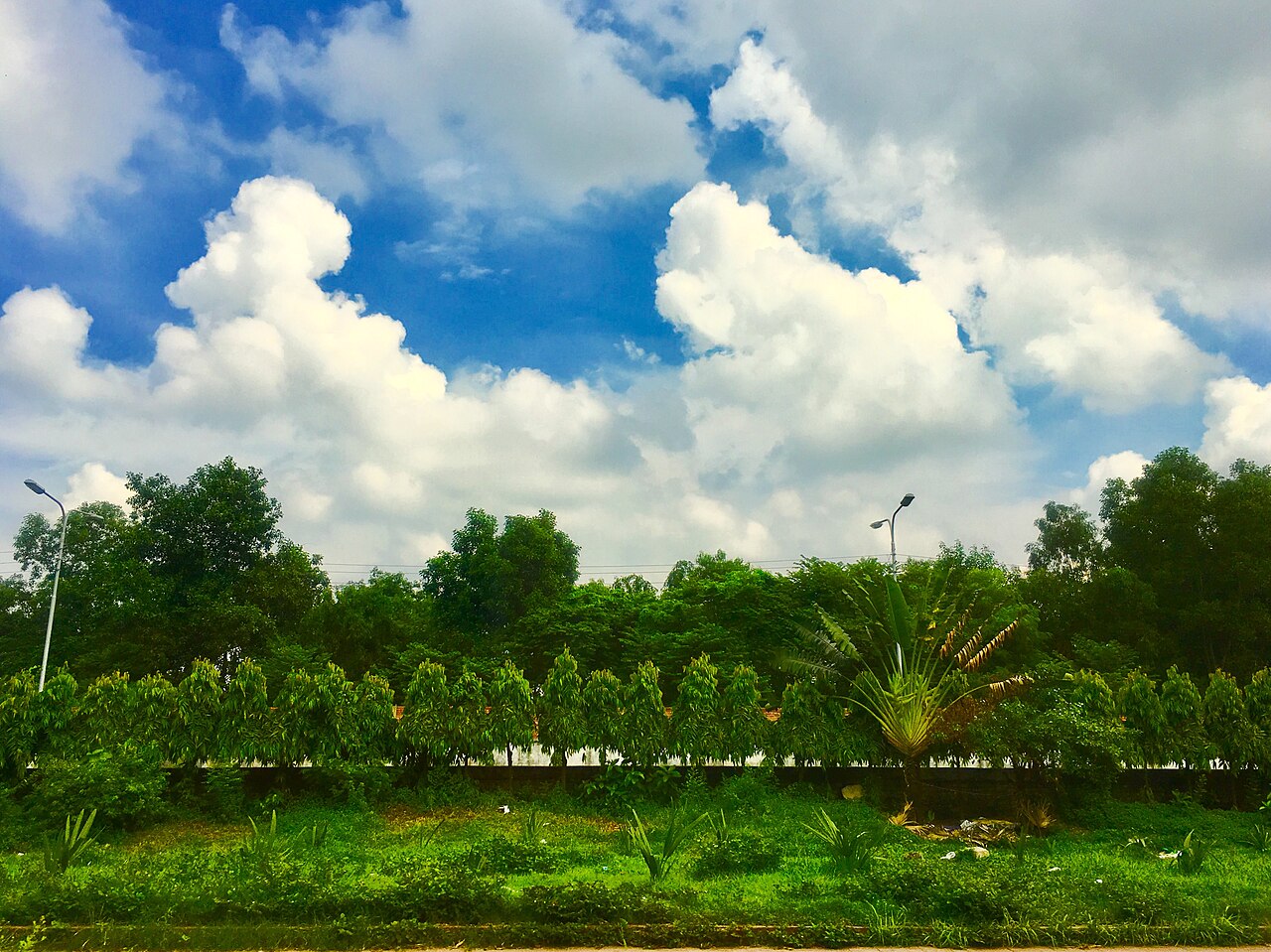 গাজীপুরের সবুজ প্রকৃতি