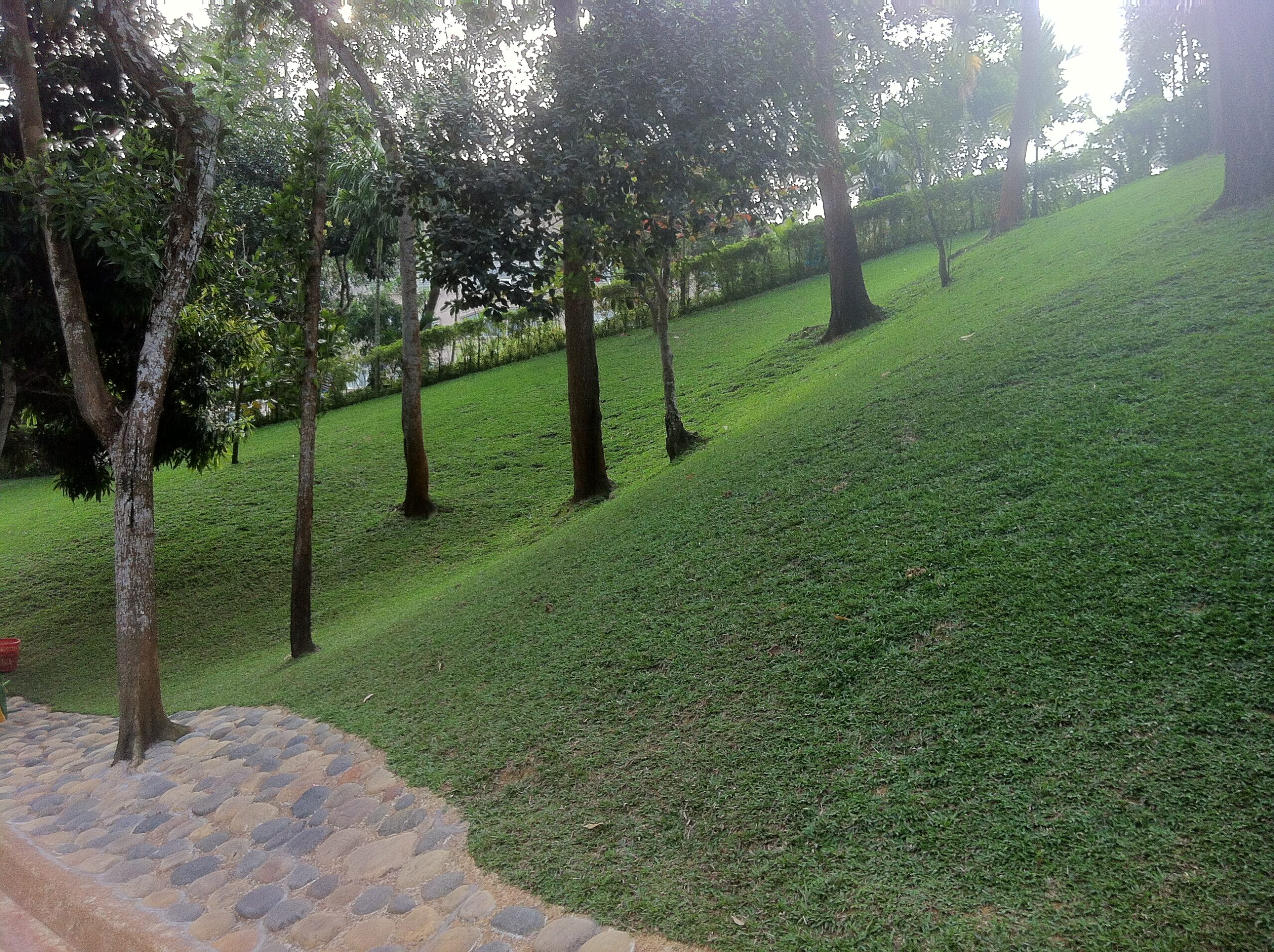 গ্র্যান্ড সুলতান রিসোর্ট