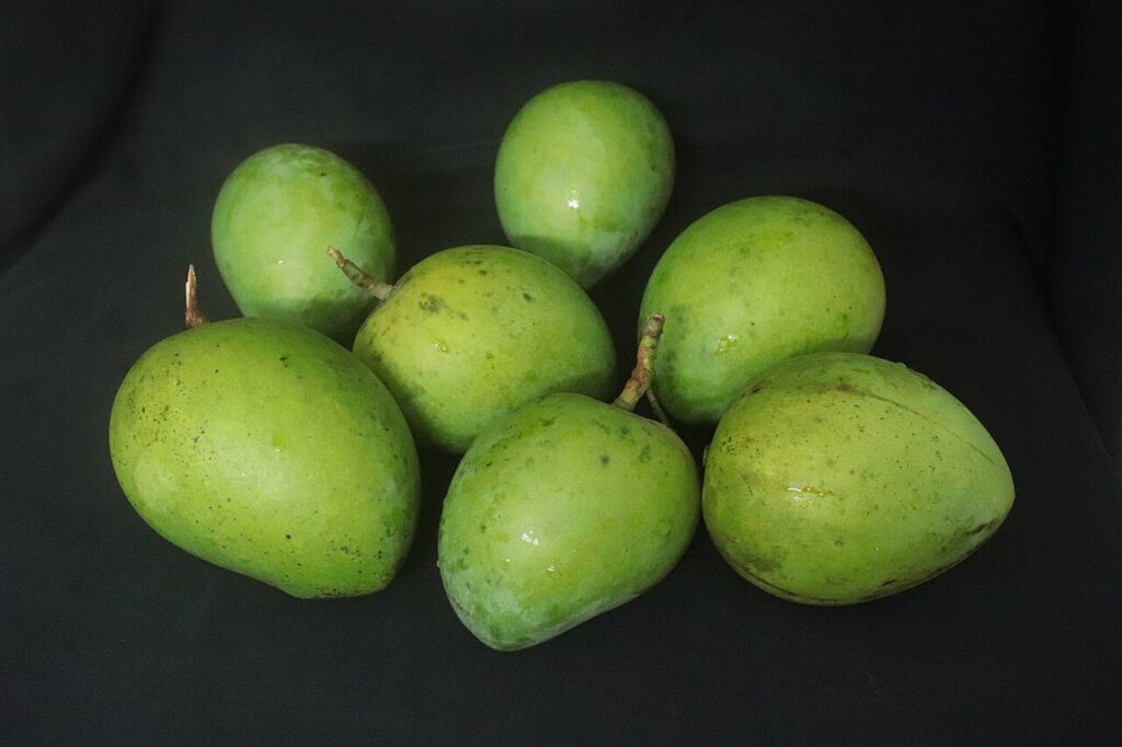 হাড়িভাঙ্গা আম, রংপুর