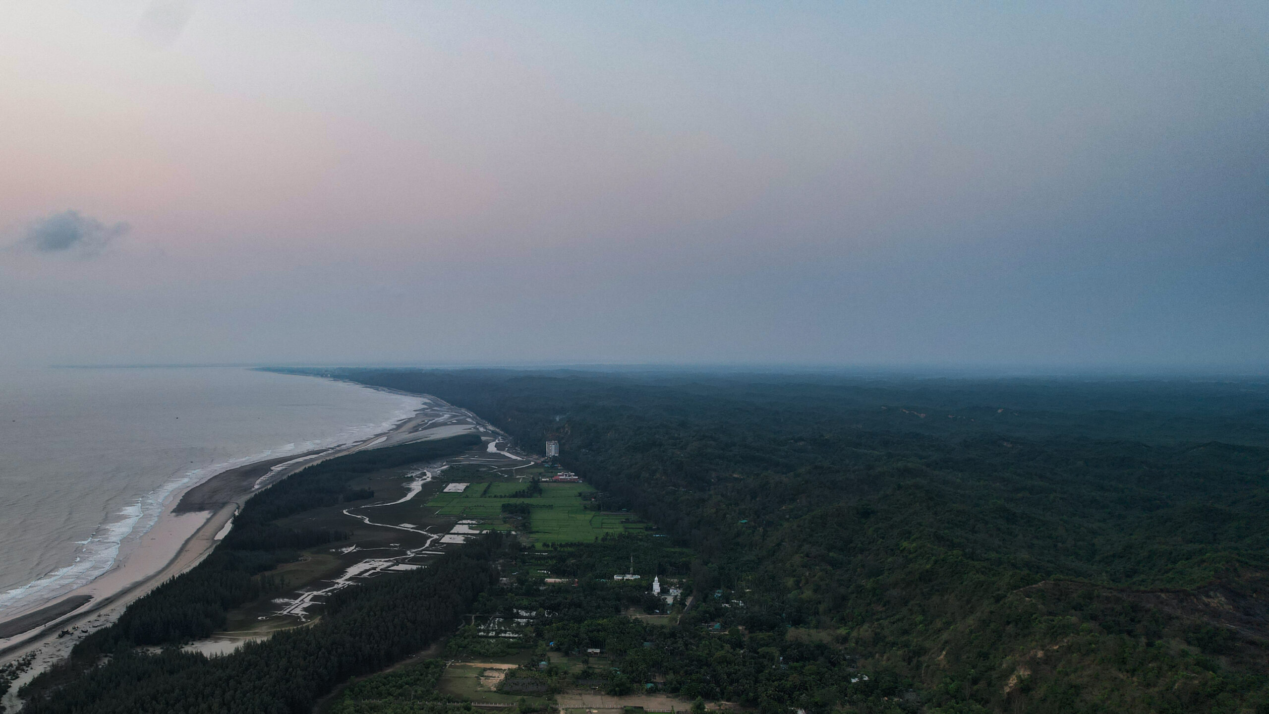 হিমছড়ি জাতীয় উদ্যানের সবুজ বন
