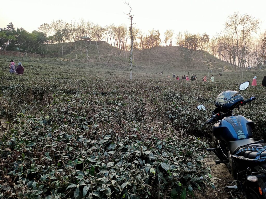 সিলেটের সেরা হোটেল ও রিসোর্ট 1 লাক্কাতুরা চা বাগান, সিলেট