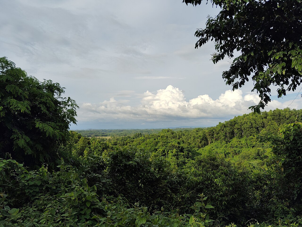 মধুটিলা ইকোপার্কের প্রাকৃতিক দৃশ্য