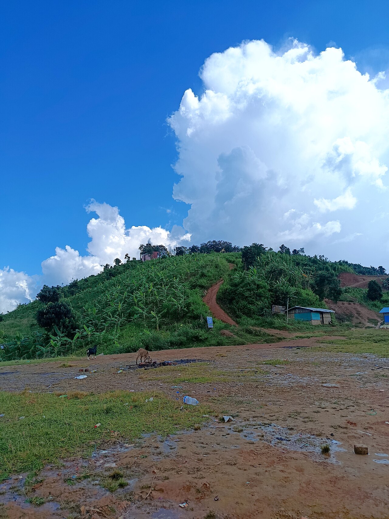 মারায়ং তং আলীকদম: ক্যাম্পিং ও সূর্যোদয়ের গাইড 2 মারায়ং তংয়ের দৃশ্য