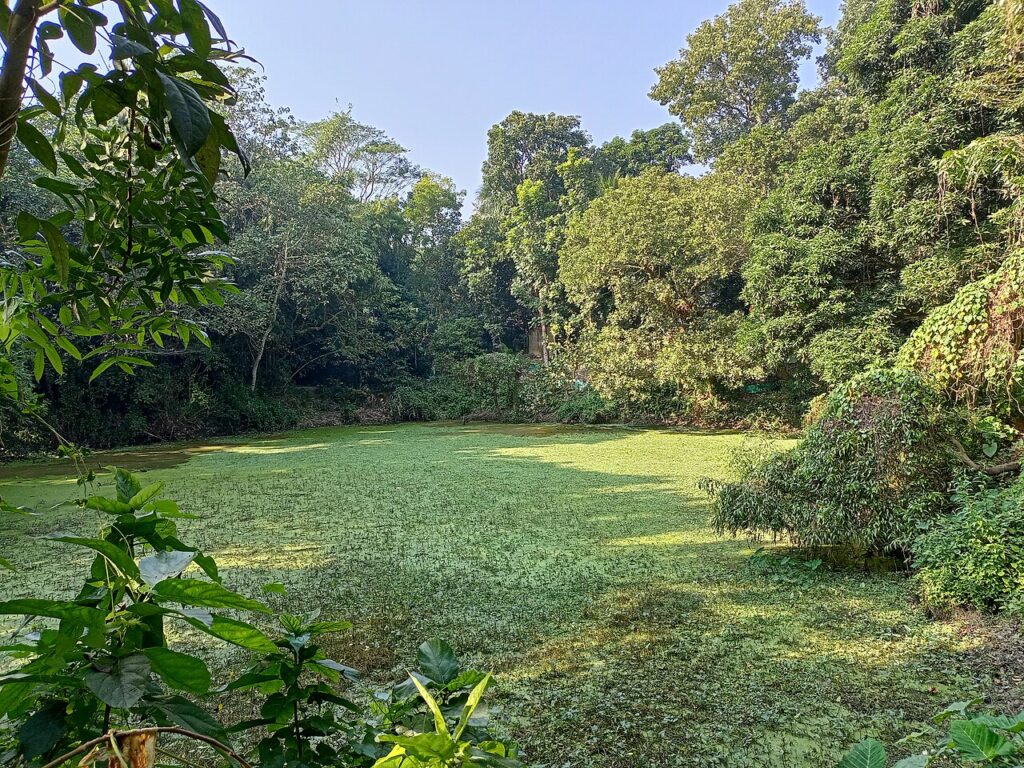 মেঘমাটি ভিলেজ রিসোর্ট