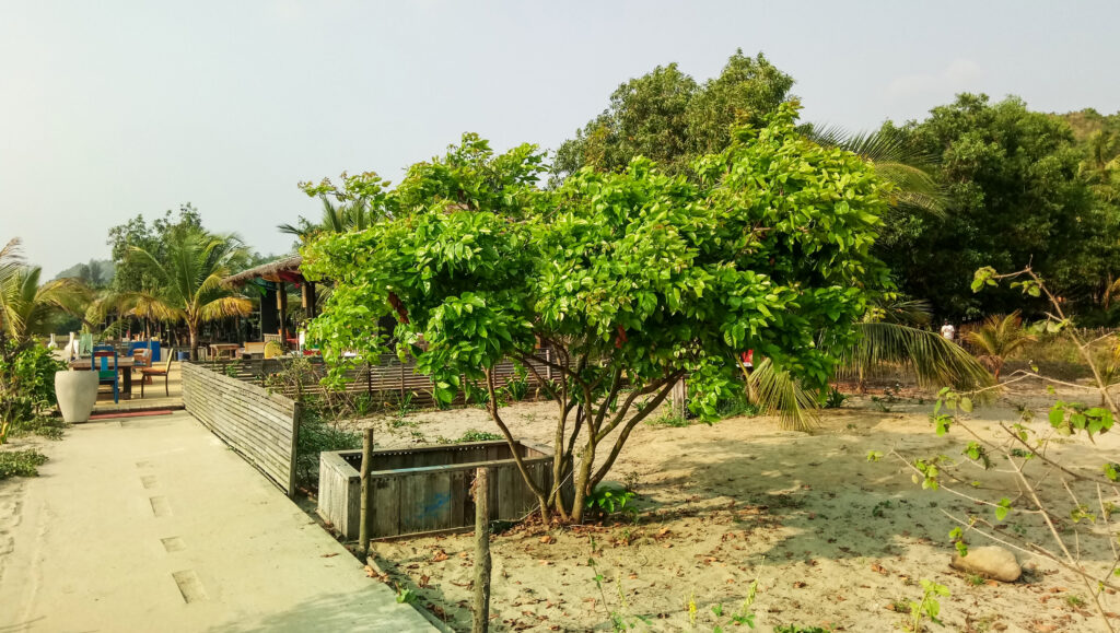 মারমেইড বিচ রিসোর্ট, কক্সবাজার