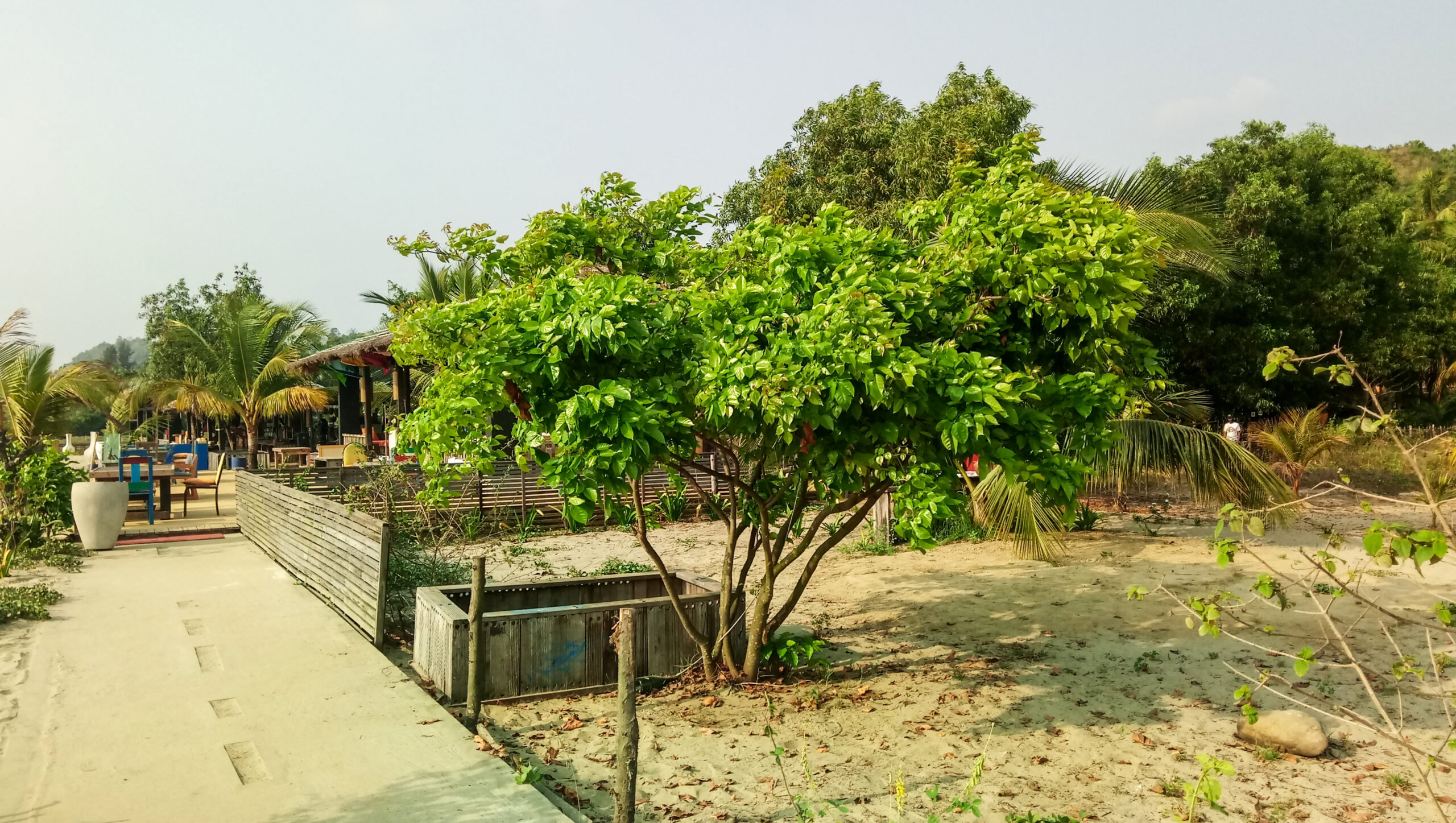 মারমেইড বিচ রিসোর্ট