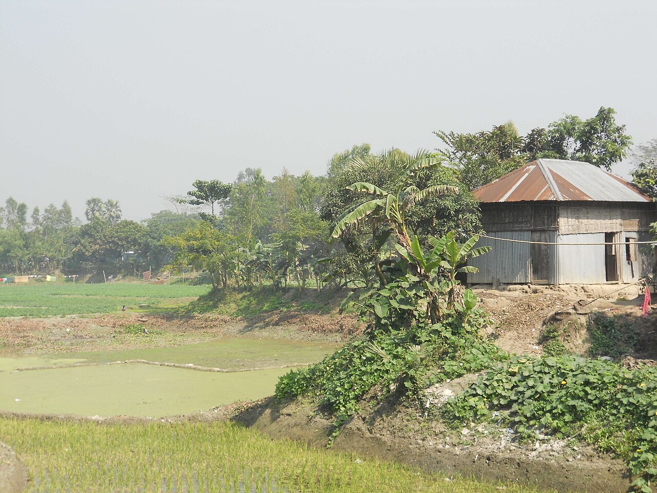 মুন্সিগঞ্জ রিসোর্ট: ঢাকার কাছেই অবকাশ 2 মুন্সিগঞ্জের গ্রামের প্রাকৃতিক সৌন্দর্য