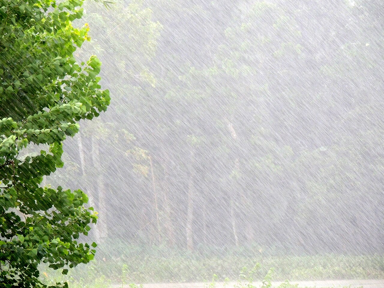 বর্ষায় বাংলাদেশের বৃষ্টি