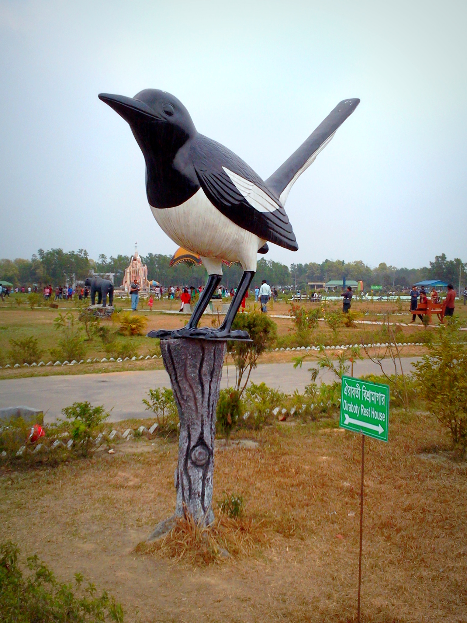 সাফারি পার্কের দৃশ্য