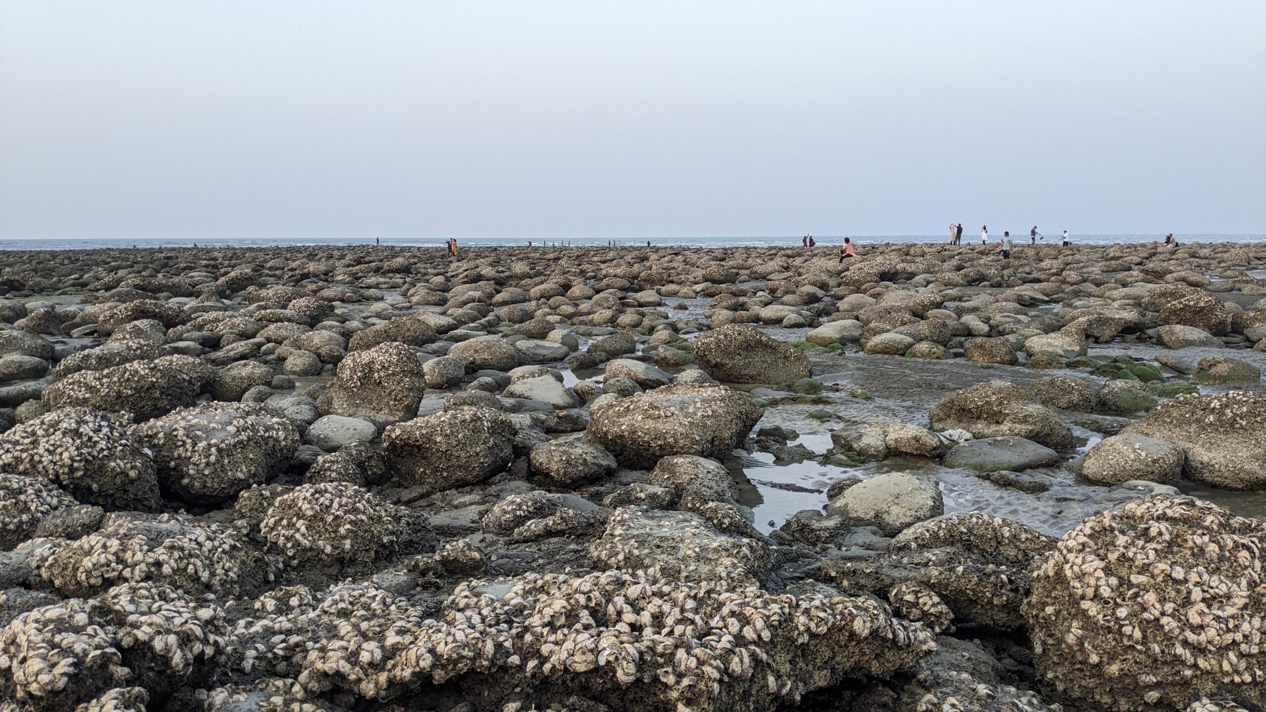 সেন্টমার্টিন দ্বীপ