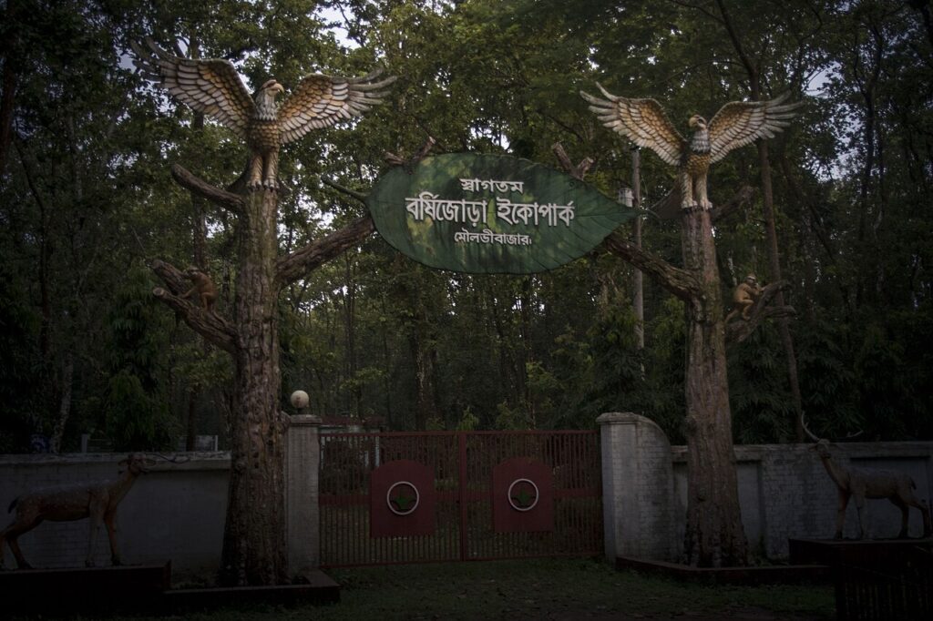 শেখ রাসেল পার্কের প্রবেশদ্বার (প্রতিনিধিত্বমূলক ছবি)