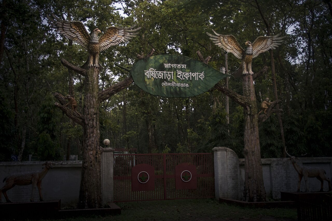 শেখ রাসেল পার্ক সিলেট: শিশুদের নিয়ে ঘোরার সম্পূর্ণ গাইড 1 শেখ রাসেল পার্কের প্রবেশদ্বার (প্রতিনিধিত্বমূলক ছবি)