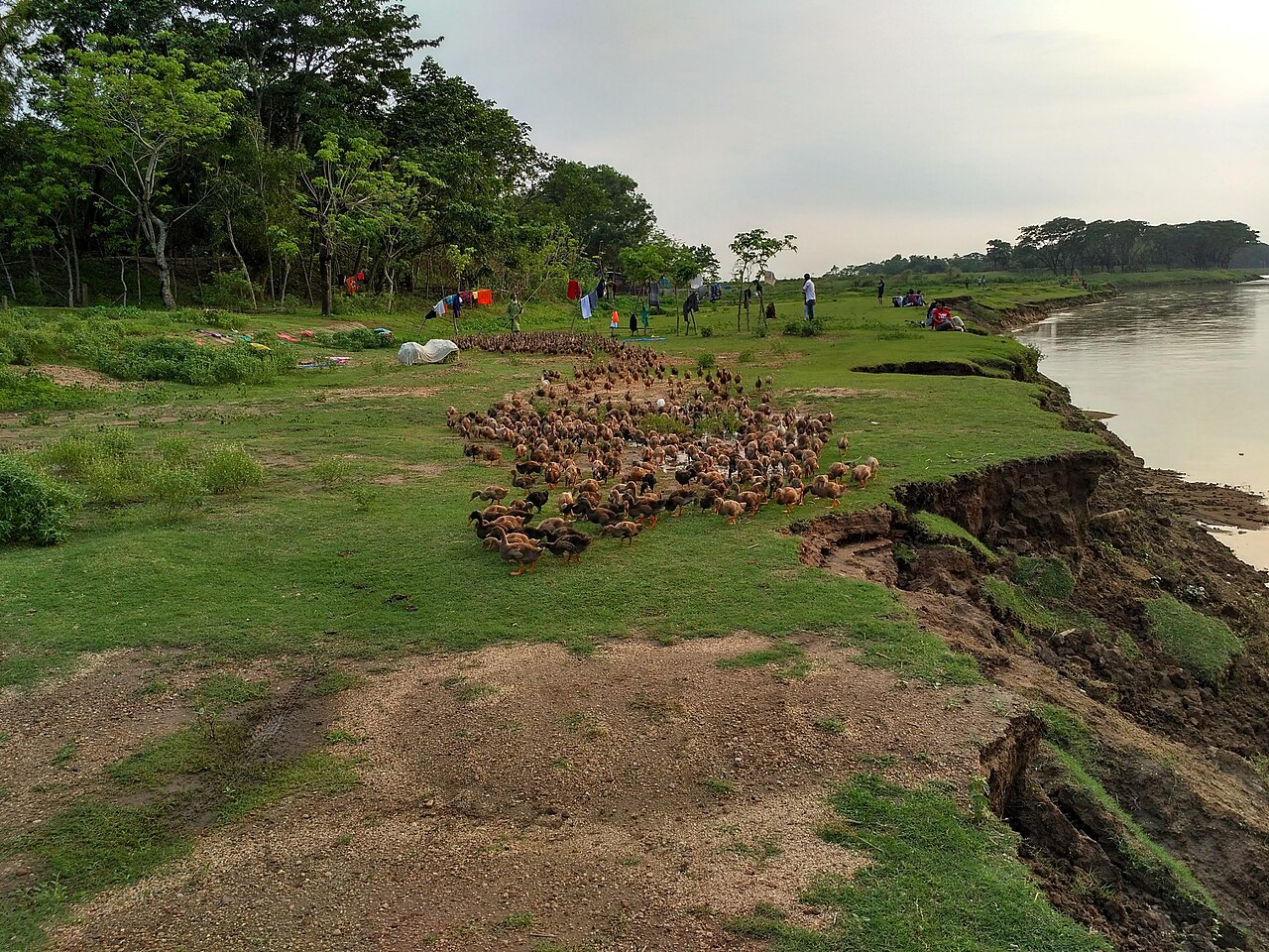 সোমেশ্বরী নদীর তীর