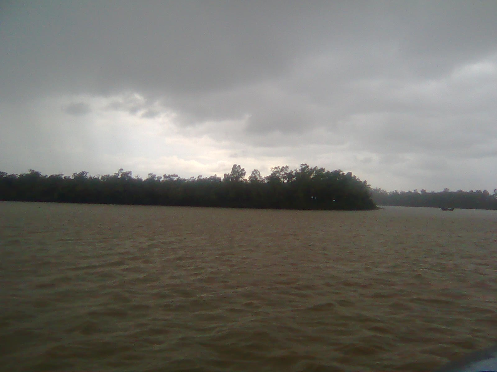 শীতে ঘোরার সেরা ১০টি জায়গা: বাংলাদেশের শীতকালীন ভ্রমণ গাইড 3 সুন্দরবনের নদী ও ম্যানগ্রোভ বন