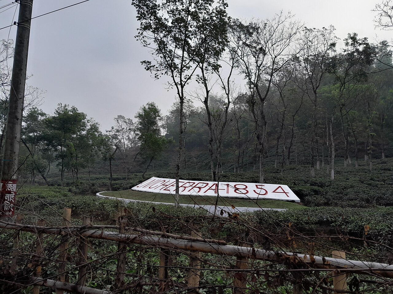 মালনীছড়া চা বাগান