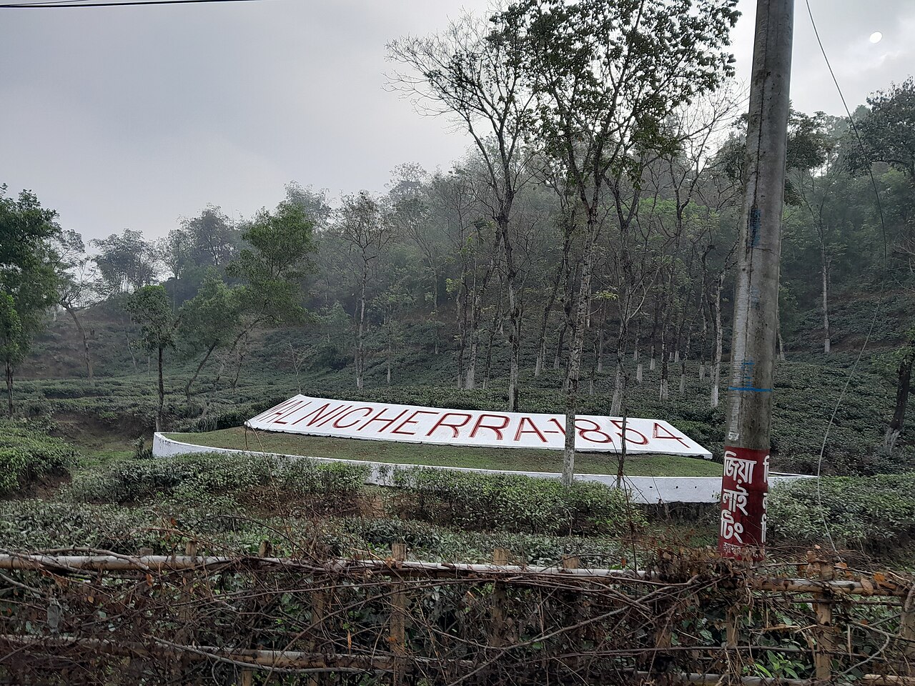 মালনীছড়া চা বাগান সিলেট