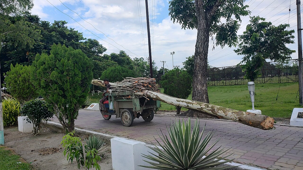 তিনবিঘা করিডোর দিয়ে যানবাহন