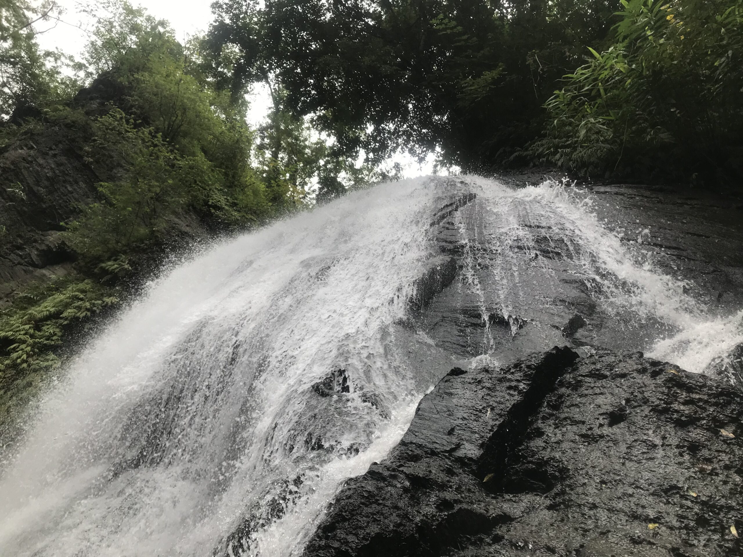 দামতুয়া ঝর্ণা, আলীকদম: বান্দরবানের দুর্গম ট্রেকিং গাইড, রুট ও খরচ 3 দামতুয়া যাওয়ার পথের পাহাড়ি দৃশ্য