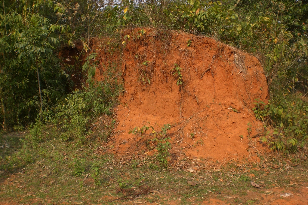 উয়ারী-বটেশ্বর প্রাচীন নগরীর সীমানা প্রাচীর