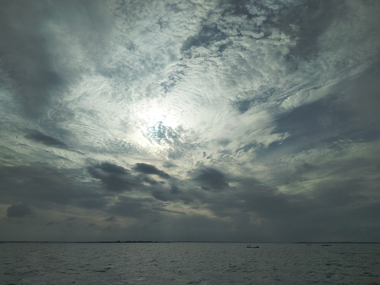 আলেখারচর: প্রকৃতির কোলে 2 বাংলাদেশের জলাভূমি