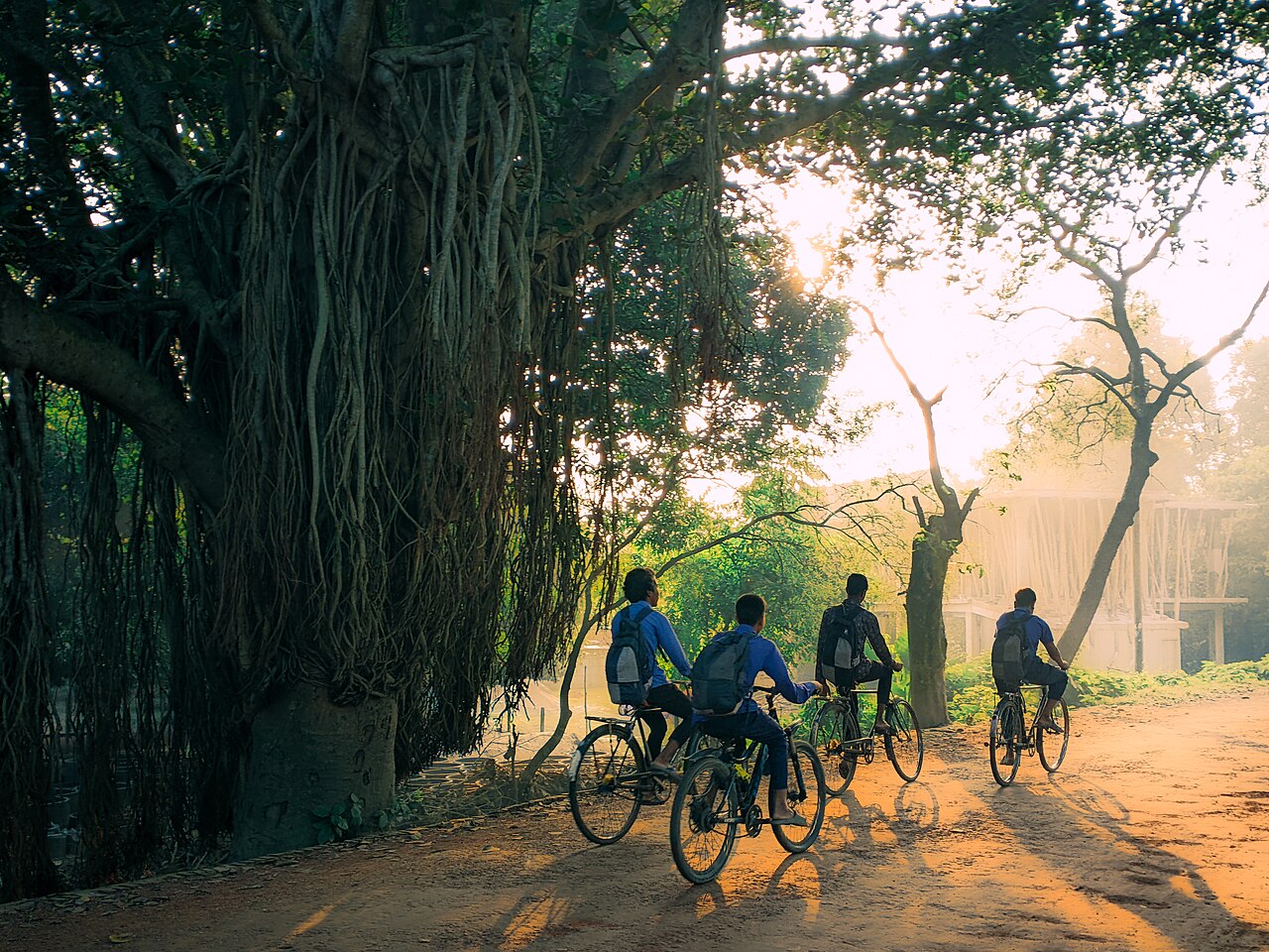 শীতের কুয়াশাচ্ছন্ন সকাল, মেহেরপুর