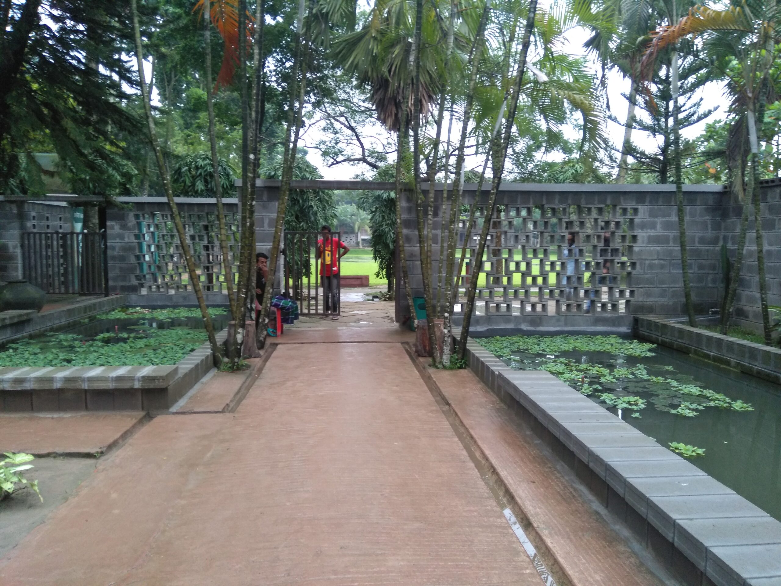 জিন্দা পার্কের সবুজ প্রকৃতি